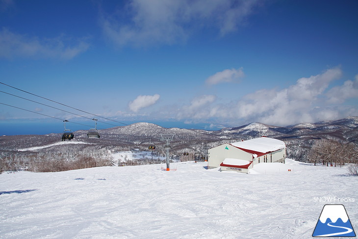 札幌国際スキー場 Welcome back POWDER SNOW !! ～パウダースノー復活～